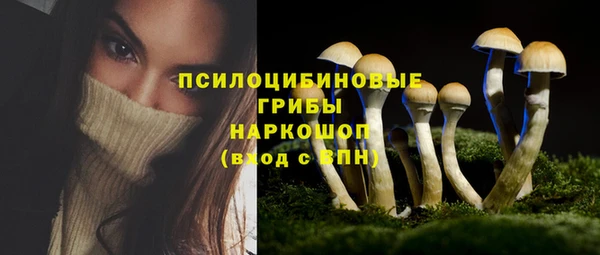 PSILOCYBIN Алексин