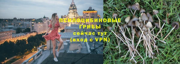 PSILOCYBIN Алексин