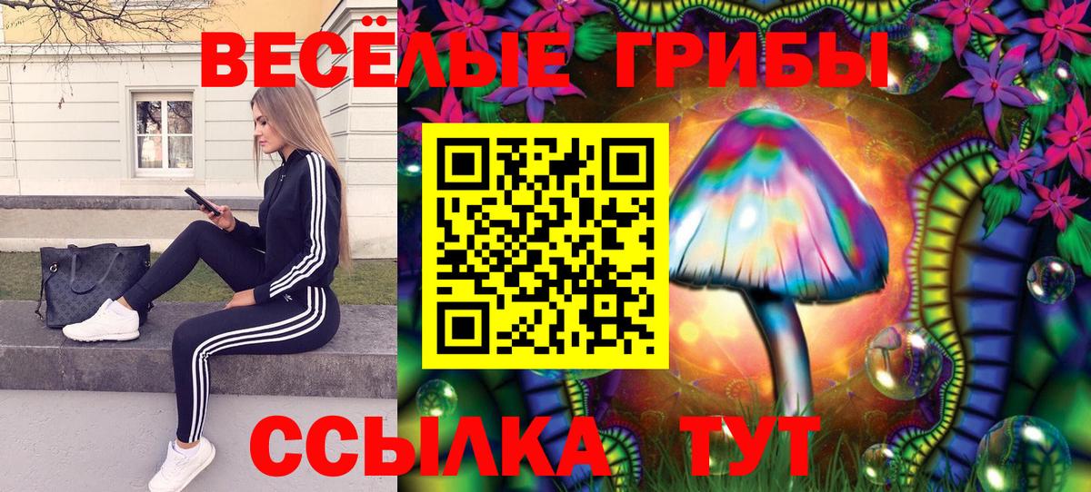 Галлюциногенные грибы ЛСД  Вход с VPN  Дзержинск 