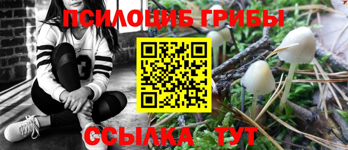 Галлюциногенные грибы Cubensis Дзержинск